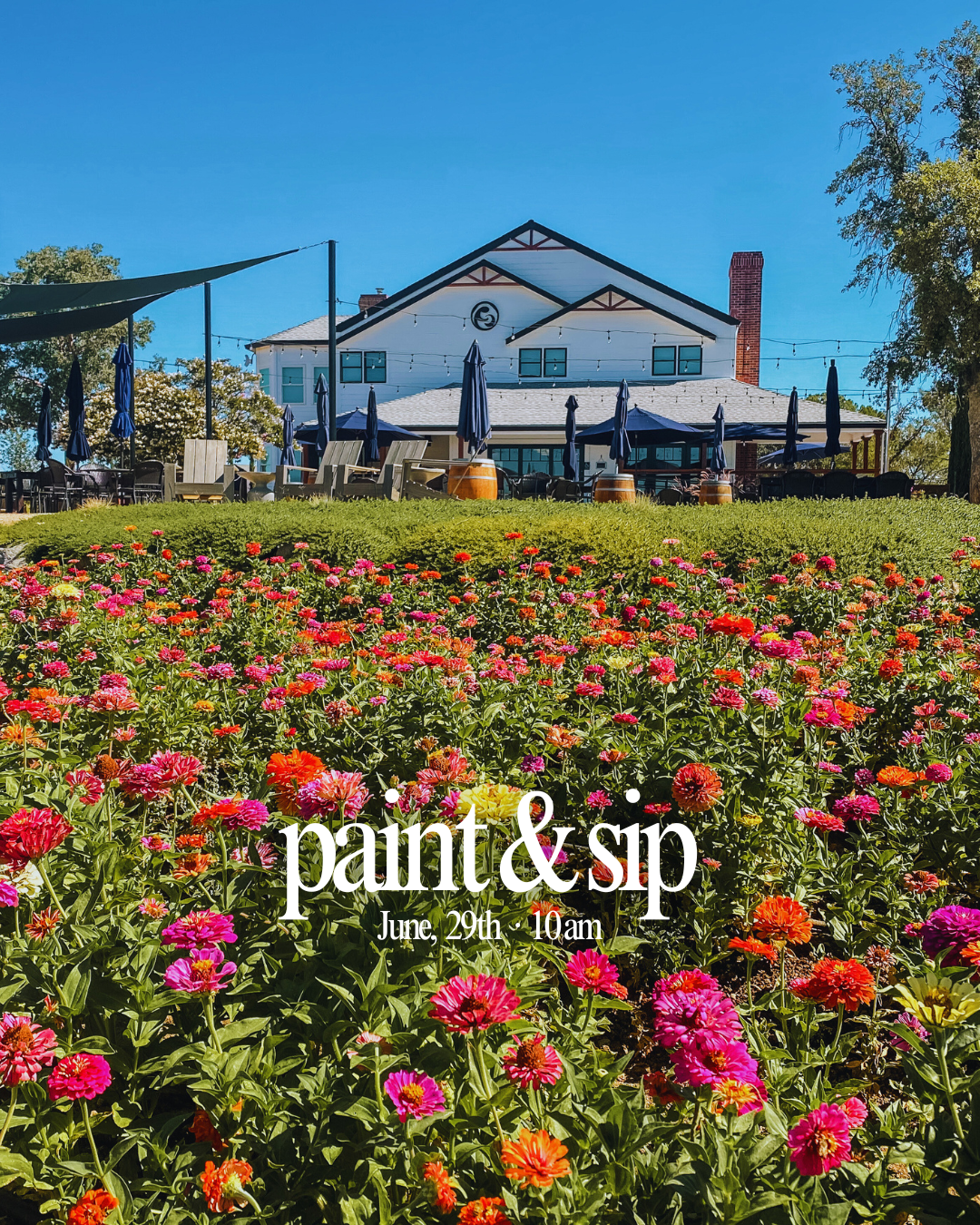 Product Image for 6/29 Paint & Sip