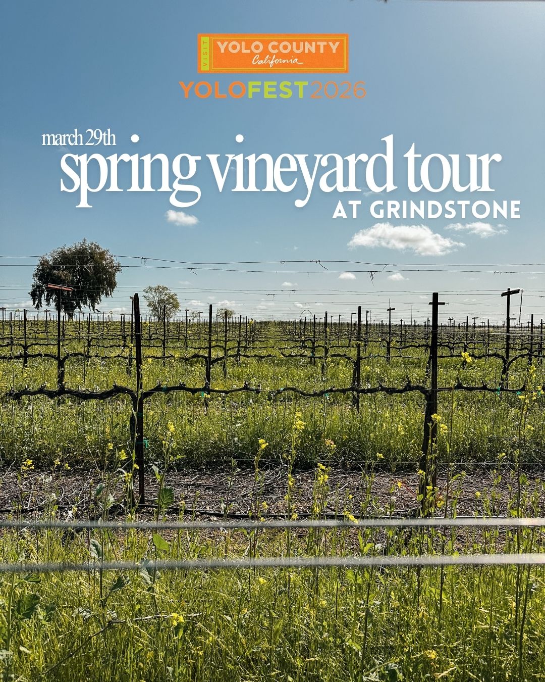 Product Image for 3/29 Spring Vineyard Tour